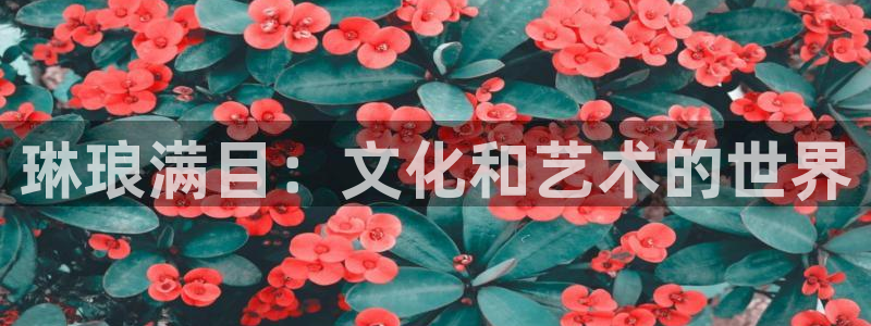 辉达娱乐体育3在线注册：琳琅满目：文化和艺术的世界