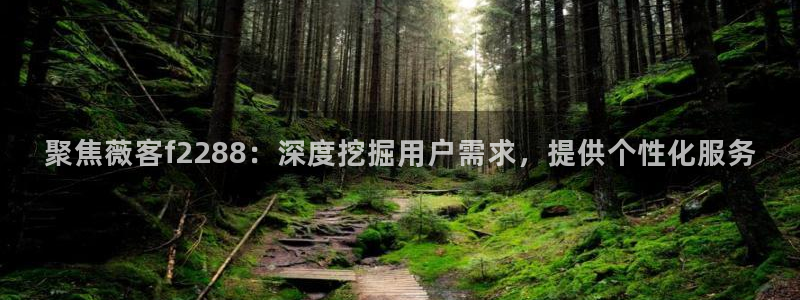辉达娱乐注册登录入口：聚焦薇客f2288：深度挖掘用户需求，提供个性化服务