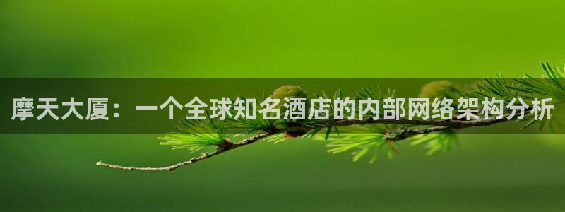 辉达娱乐平台：摩天大厦：一个全球知名酒店的内部网络架构分析