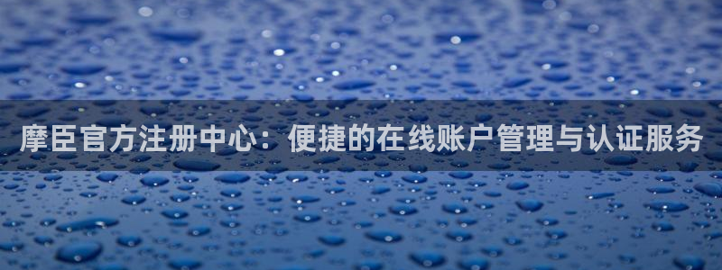 辉达娱乐.ccm官网版：摩臣官方注册中心：便捷的在线账户管理与认证服务