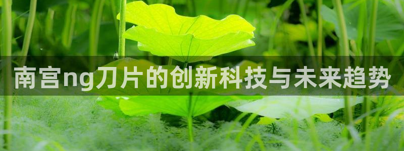 辉达娱乐3：南宫ng刀片的创新科技与未来趋势
