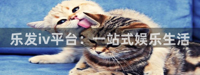 辉达娱乐股份：乐发iv平台：一站式娱乐生活