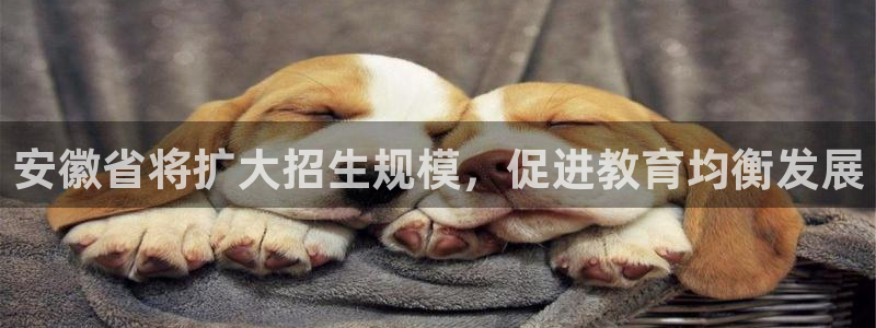 辉达娱乐体育网页版入口：安徽省将扩大招生规模，促进教育均衡发展