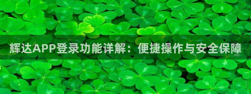 辉达娱乐苹果手机下载链接：辉达APP登录功能详解：便捷操作与安全保障