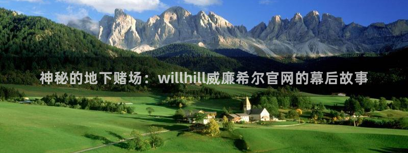 辉达娱乐是真的吗：神秘的地下赌场：willhill威廉希尔官网的幕后故事