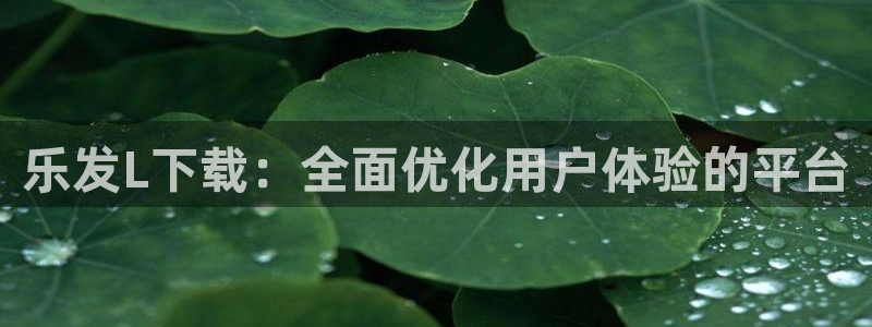 辉达娱乐官网：乐发L下载：全面优化用户体验的平台