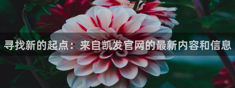 辉达娱乐2平台注册：寻找新的起点：来自凯发官网的最新内容和信息