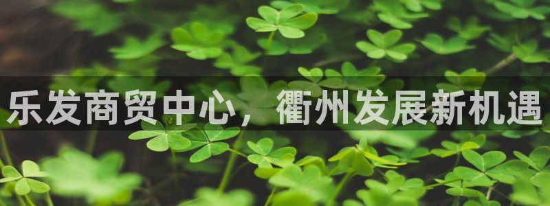 辉达娱乐路线1：乐发商贸中心，衢州发展新机遇