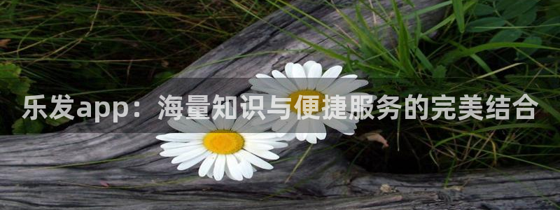 辉达娱乐vip麻将胡了：乐发app：海量知识与便捷服务的完美结合