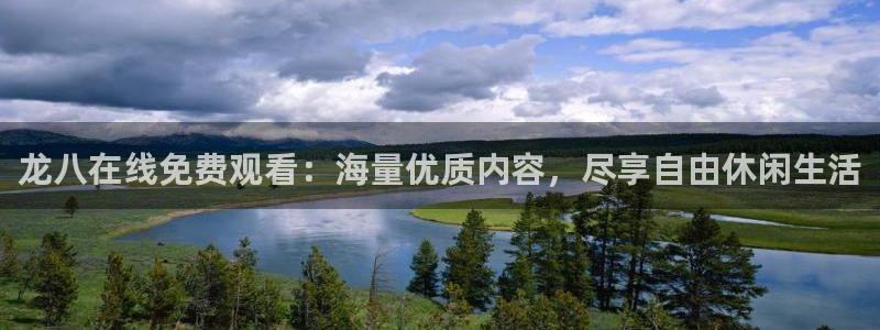 辉达娱乐官网入口：龙八在线免费观看：海量优质内容，尽享自由休闲生活