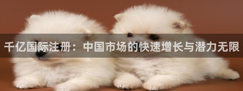 辉达娱乐凯捷开号链接：千亿国际注册：中国市场的快速增长与潜力无限