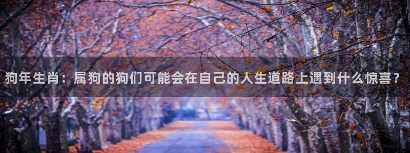 辉达娱乐注册网站：狗年生肖：属狗的狗们可能会在自己的人生道路上遇到什么惊喜？