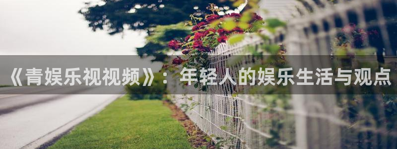 辉达娱乐3：《青娱乐视视频》：年轻人的娱乐生活与观点