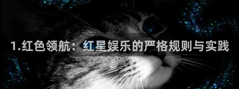 辉达娱乐体育和杏耀是哪个公司的：1.红色领航：红星娱乐的严格规则与实践