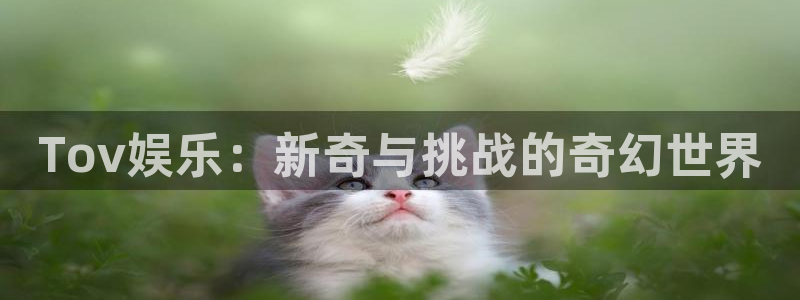 辉达娱乐凯捷注册：Tov娱乐：新奇与挑战的奇幻世界