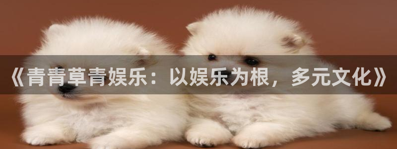 辉达娱乐体育凯捷登陆：《青青草青娱乐：以娱乐为根，多元文化》