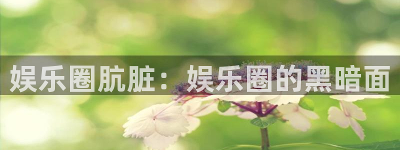 辉达娱乐平台官网：娱乐圈肮脏：娱乐圈的黑暗面