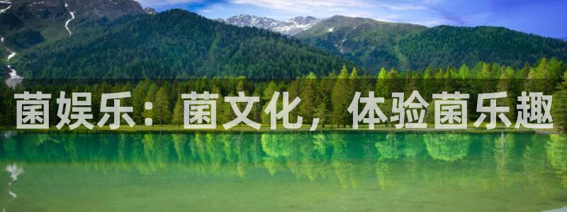 辉达娱乐在线预测：菌娱乐：菌文化，体验菌乐趣