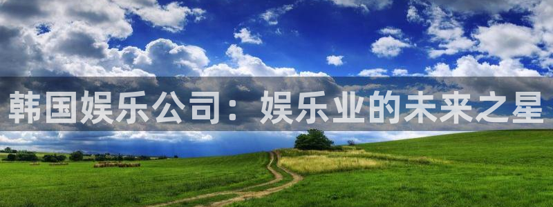 辉达娱乐下载：韩国娱乐公司：娱乐业的未来之星