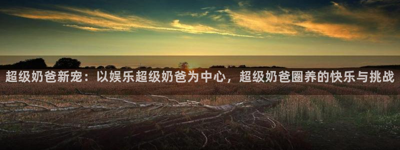 辉达娱乐4开户：超级奶爸新宠：以娱乐超级奶爸为中心，超级奶爸圈养的快乐与挑战