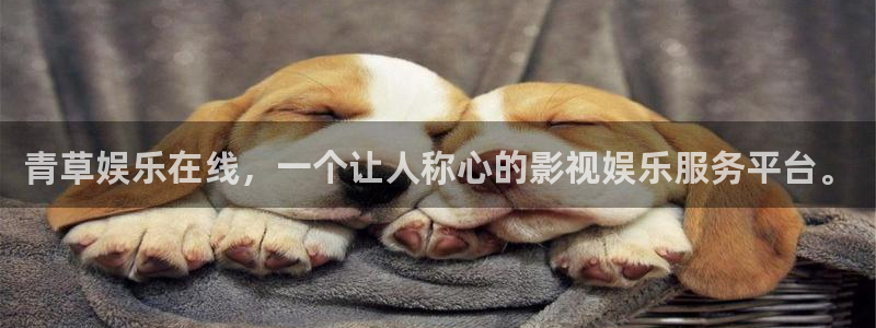 辉达娱乐体育用品：青草娱乐在线，一个让人称心的影视娱乐服务平台。