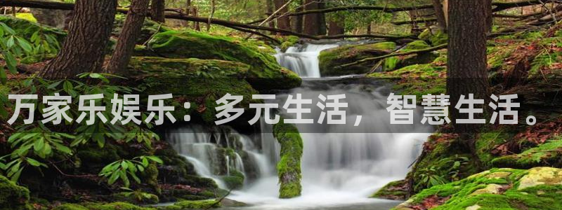 辉达娱乐电子有限公司：万家乐娱乐：多元生活，智慧生活。