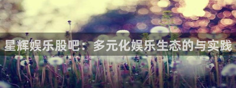 辉达娱乐平台官方网站：星辉娱乐股吧：多元化娱乐生态的与实践