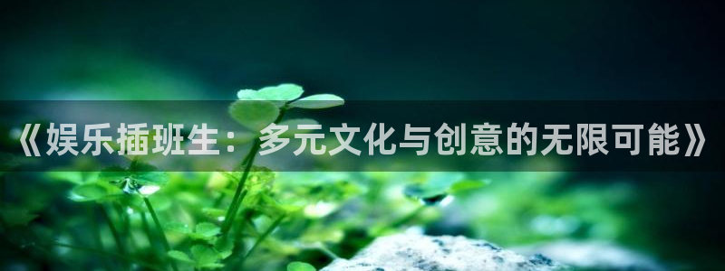 辉达娱乐体育2官网入口：《娱乐插班生：多元文化与创意的无限可能》