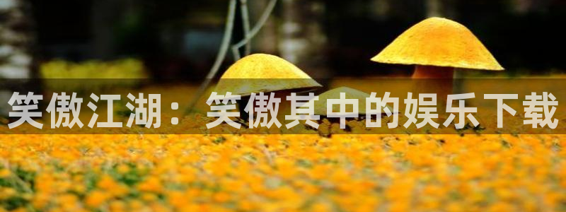 辉达娱乐.ccmpc正版：笑傲江湖：笑傲其中的娱乐下载