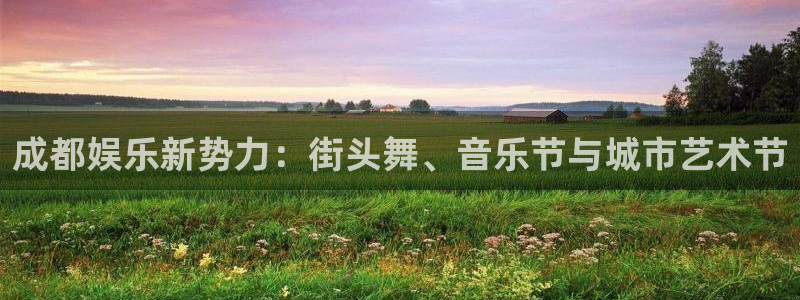 辉达娱乐股份：成都娱乐新势力：街头舞、音乐节与城市艺术节