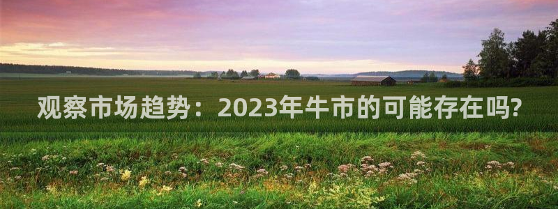 辉达娱乐2体育：观察市场趋势：2023年牛市的可能存在吗?