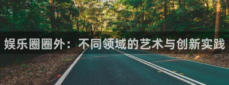 辉达娱乐体育凯捷平台代理：娱乐圈圈外：不同领域的艺术与创新实践