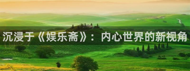 辉达娱乐注册链接：沉浸于《娱乐斋》：内心世界的新视角