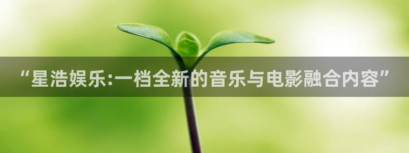 辉达娱乐娱乐：“星浩娱乐:一档全新的音乐与电影融合内容”
