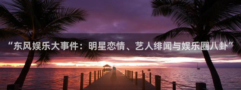 辉达娱乐的平台：“东风娱乐大事件：明星恋情、艺人绯闻与娱乐圈八卦”