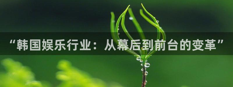 辉达娱乐登陆