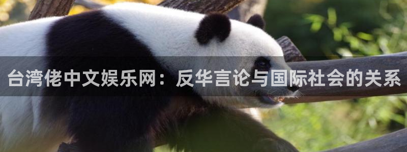 辉达娱乐体育凯捷平台注册：台湾佬中文娱乐网：反华言论与国际社会的关系