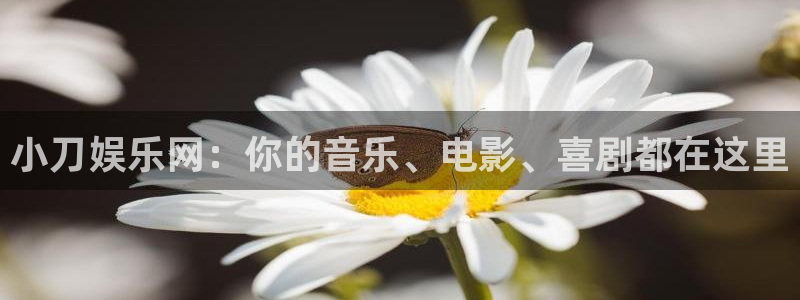 辉达娱乐哪个游戏好爆：小刀娱乐网：你的音乐、电影、喜剧都在这里