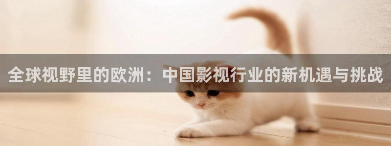 辉达娱乐集团股票：全球视野里的欧洲：中国影视行业的新机遇与挑战