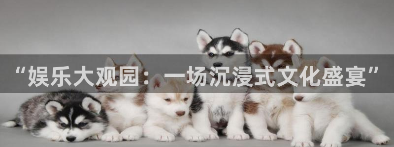 辉达娱乐体育2：“娱乐大观园：一场沉浸式文化盛宴”