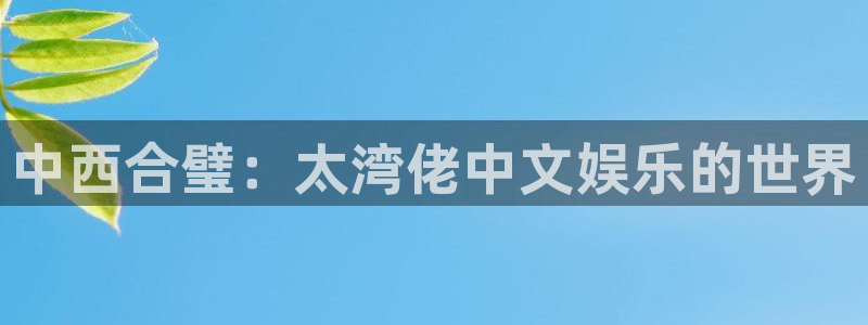 辉达娱乐注册入口：中西合璧：太湾佬中文娱乐的世界