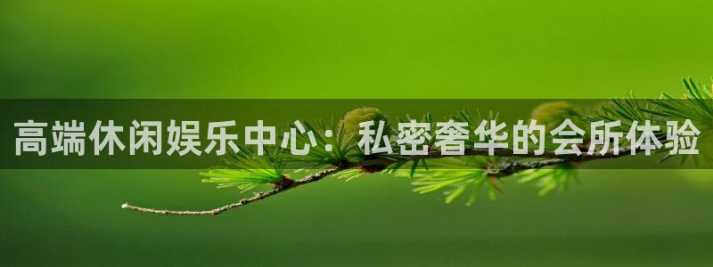 辉达娱乐ccmpc麻将胡了：高端休闲娱乐中心：私密奢华的会所体验