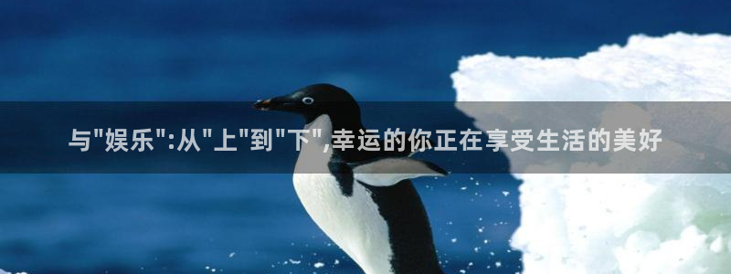 辉达娱乐体育1招商：与\
