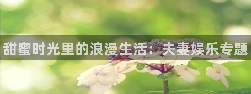 辉达娱乐：甜蜜时光里的浪漫生活：夫妻娱乐专题