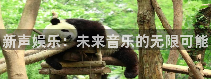 辉达娱乐网页版登：新声娱乐：未来音乐的无限可能