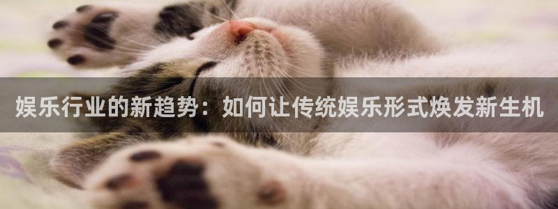 辉达娱乐平台总代理：娱乐行业的新趋势：如何让传统娱乐形式焕发新生机
