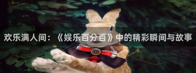 辉达娱乐平台注册入口：欢乐满人间：《娱乐百分百》中的精彩瞬间与故事