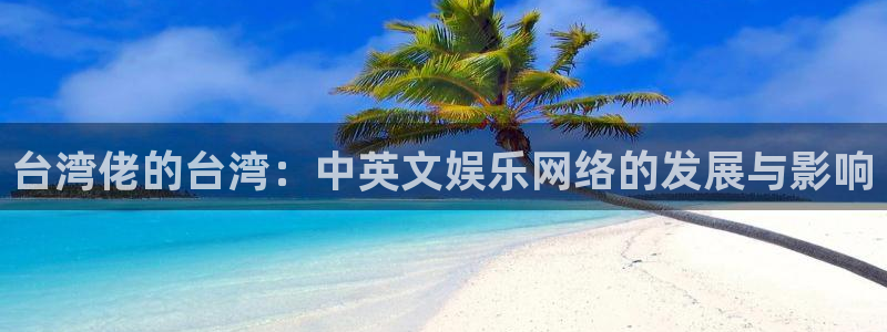 东莞市辉达娱乐电子科技有限公司：台湾佬的台湾：中英文娱乐网络的发展与影响