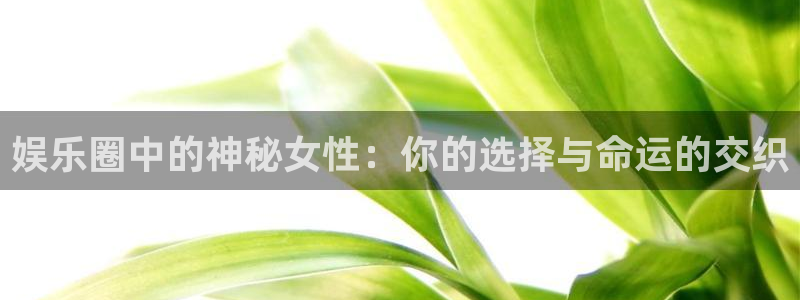 辉达娱乐软件：娱乐圈中的神秘女性：你的选择与命运的交织