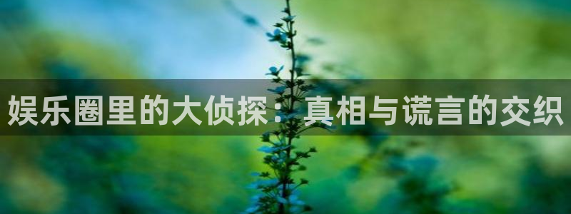 辉达娱乐平台官网版最新：娱乐圈里的大侦探：真相与谎言的交织